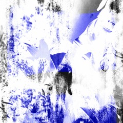 pissy pamper/kid cudi (flip)