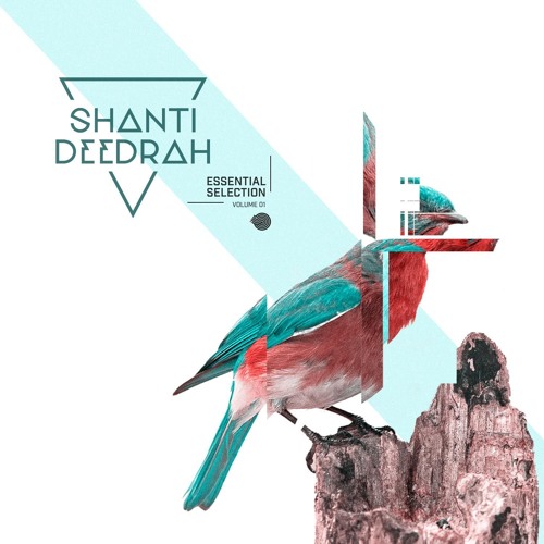 Shanti Matkin & 3 Of Life - Chik Chak