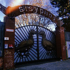 Sisyphos Berlin // 10.20.19