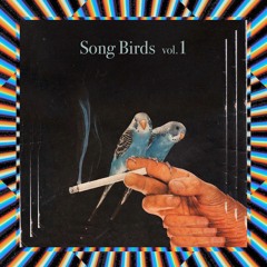 Song Birds vol. 1 [mini tape]