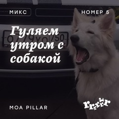 Moa Pillar for rrrrrrradio
