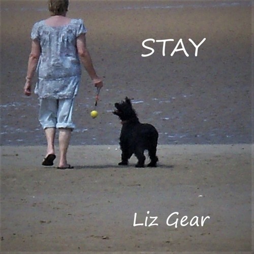 Stream STAY by Liz Gear | Listen online for free on SoundCloud STAY