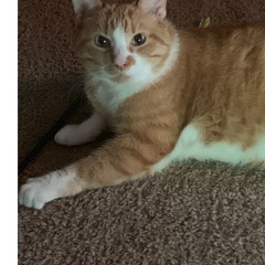 Subather's Afternoon