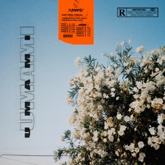 Hola Pablito (Intro)