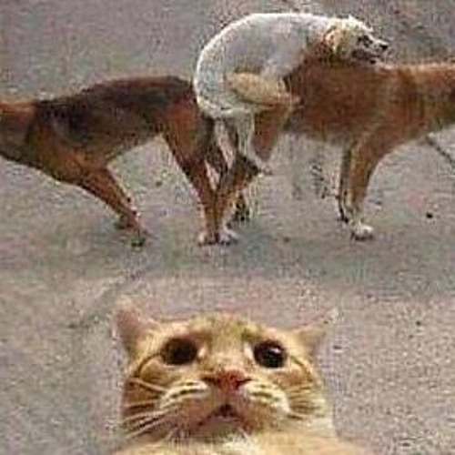 K69-UNIT PT II FT. HXNJV+CHXEU,XXXTENTACION,SCARLXRD,$VRNc,Craig Xen,wubz,ERROR (prod. everyone)