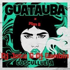 Plan B - Cosculluela - Intro Guatauba - (Dj Jota & Dj Gambin Rmx 2019)