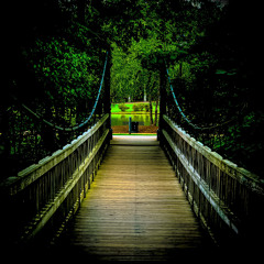 315.8 Brain Don’t Hurt