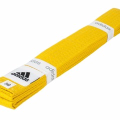 DAVIDAAV Желтый пояс