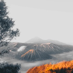 To The Far East