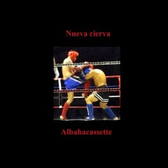 Nueva Cierva - raxet1