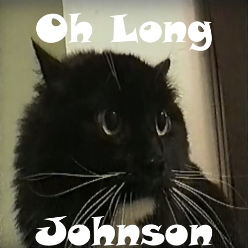 Stream Talking Cat Says Oh Long Johnson by BcaPd