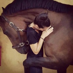 توب الحمل - ربيع المهدى