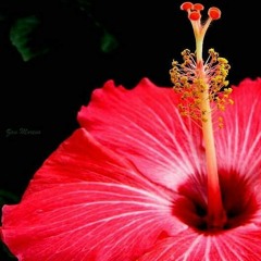 MTK - Raining Friday II - 2