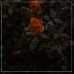 v e n n x Andy Feldman - noonlight