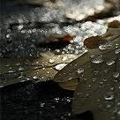 EN EBULLITION POUR TOI