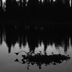 con tu amor sencillo