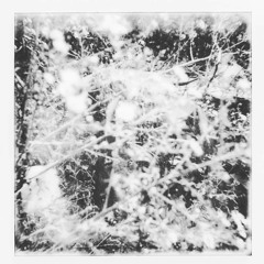 Untitled 11/5/19