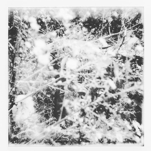 Untitled 11/5/19