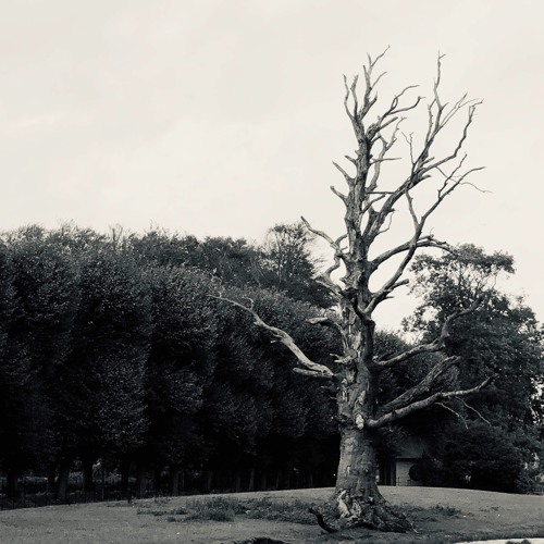 Shimmering Moods @ Resonance Extra #36