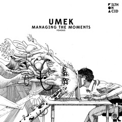 UMEK - Moonlit Vista