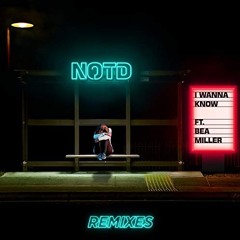 I Wanna Know (Feat. Bea Miller)(Jeiff Remix) - NOTD