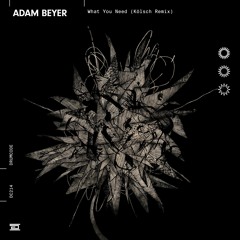 Adam Beyer — What You Need (Kölsch Remix) — Drumcode — DC214