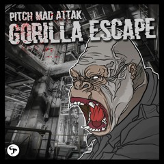 Pitch Mad Attak - Humanoid