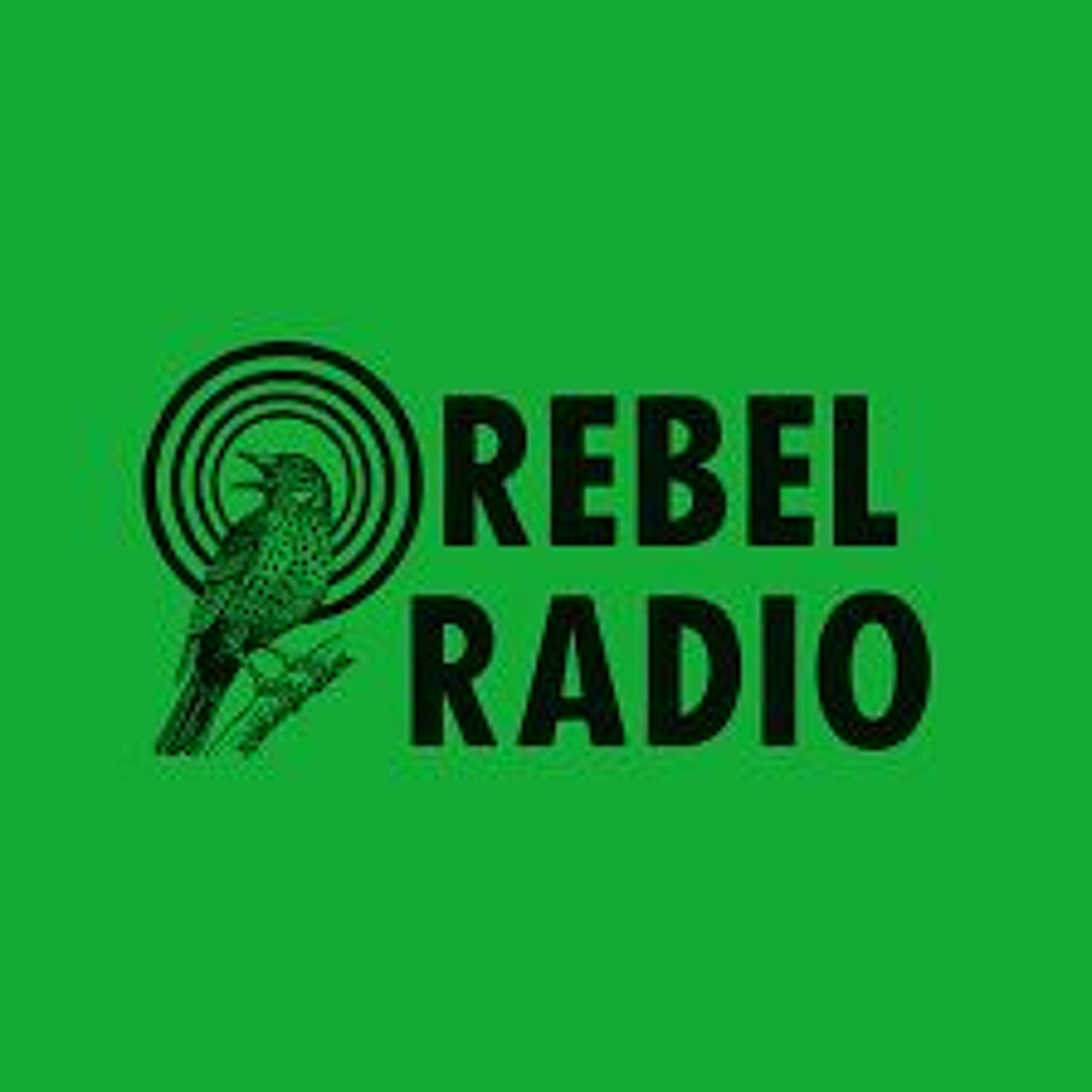 October Rebellion Morning Meditation - Embracing Change