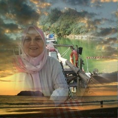 Utangaç Bir Beybladeci