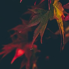 Touch - Mattia Cupelli (Remix/sample)