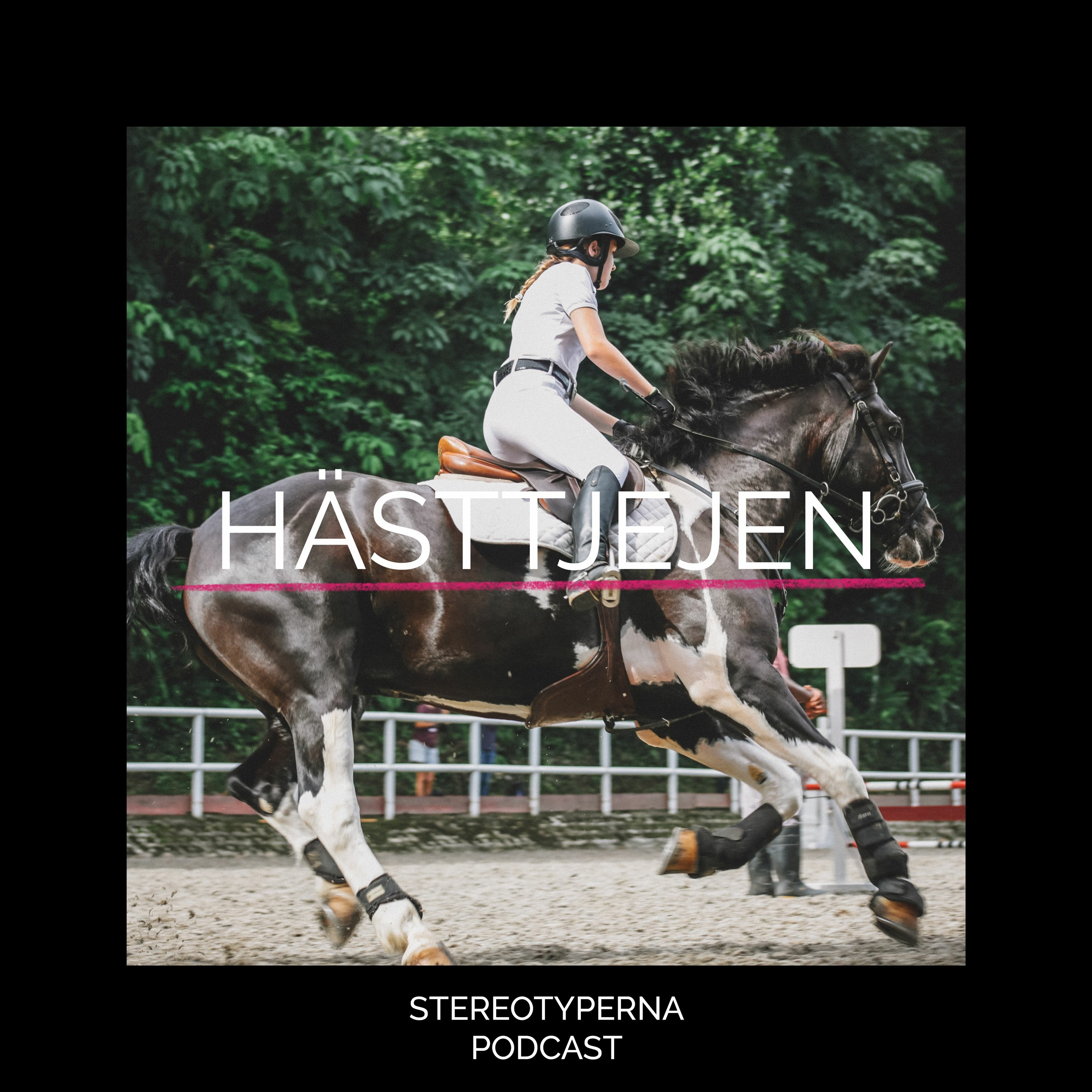 Stereotyperna