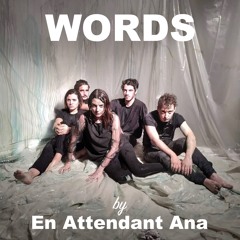 En Attendant Ana "Words" (Trouble In Mind Records)
