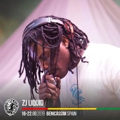 DH 2208 - ZJ Liquid @ Rototom Sunsplash 2019