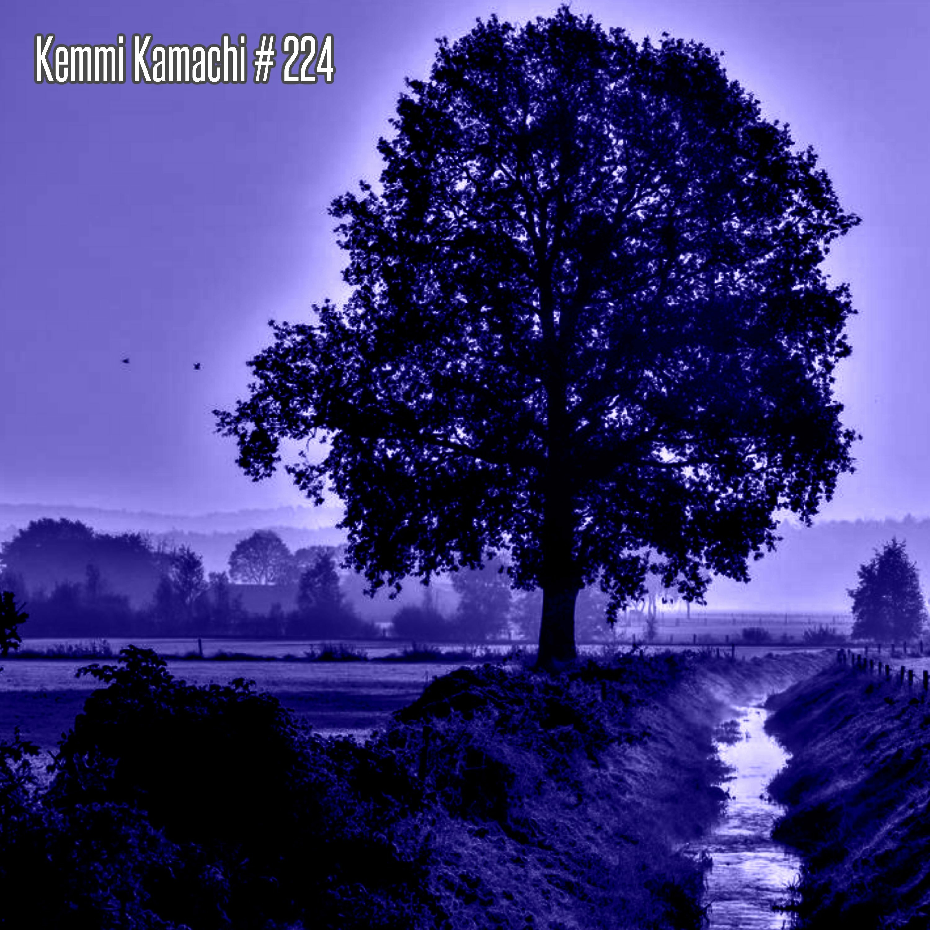 Kemmi Kamachi