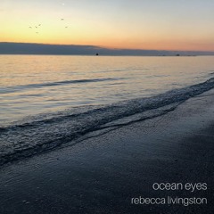 Ocean Eyes (Billie Eilish Cover)