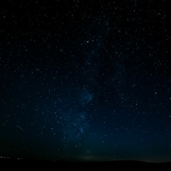 Ray Monkey - sleepless nights