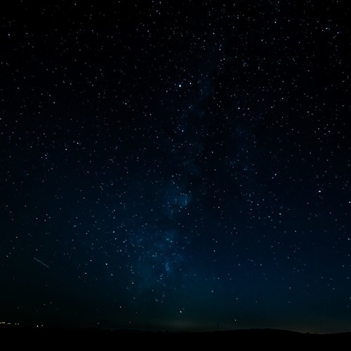 Ray Monkey - sleepless nights