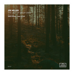 Premiere: Joe Miller - The last of the Great Days [Sound Avenue]