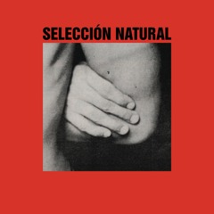 Premiere : Seleccion Natural - Future Ride [PoleGroup]