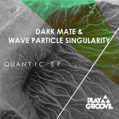 Wave Particle Singularity, Dark Mate - Quantic (Original Mix)