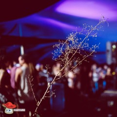 ToiToi - MyMusic Festival 19.10.19