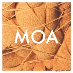 MOA - teil von mir