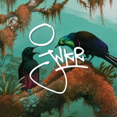 Birds Of Paradise [Free DL]
