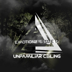 Emotional State №17