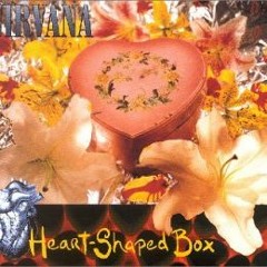 Nirvana Heart Shaped Box (Bornjevski Edit)