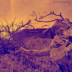 WISDOM FROM REMOTENESS I