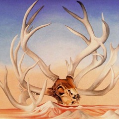 from the faraway nearby Korea Performance