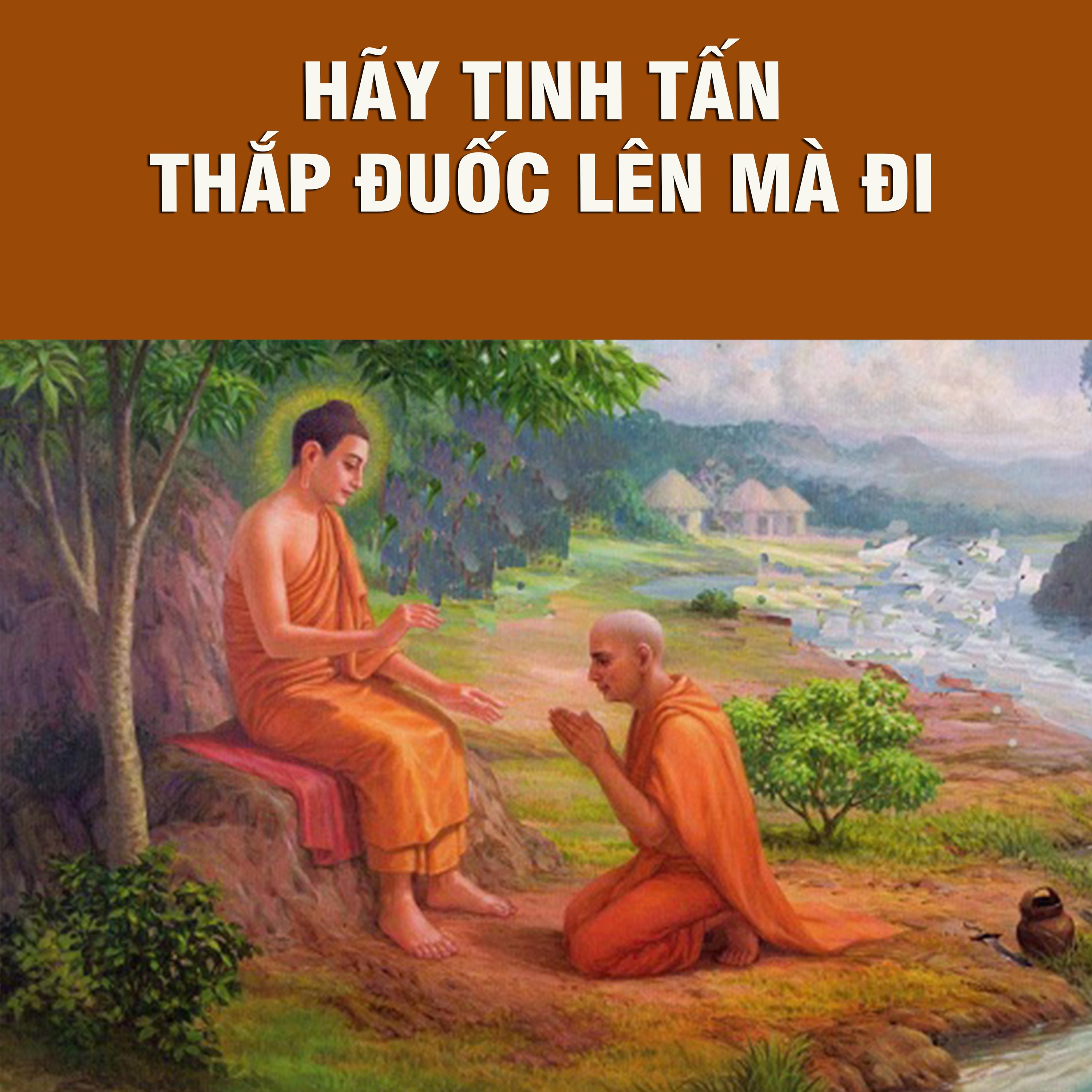 Hãy Tinh Tấn Thắp Đuốc Lên Mà Đi episode artwork