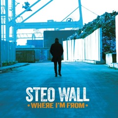 What's Wrong With The World Ma? Ft. Damien Dempsey Track 05