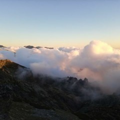 Quetzalcoalt Freestyle